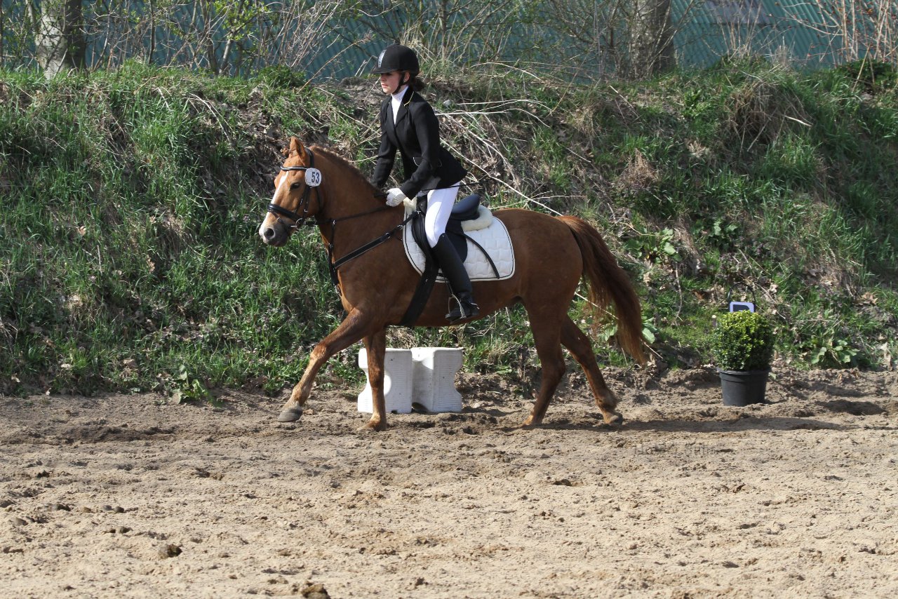 Bild 1155 - WBO-Turnier am 9.4.11